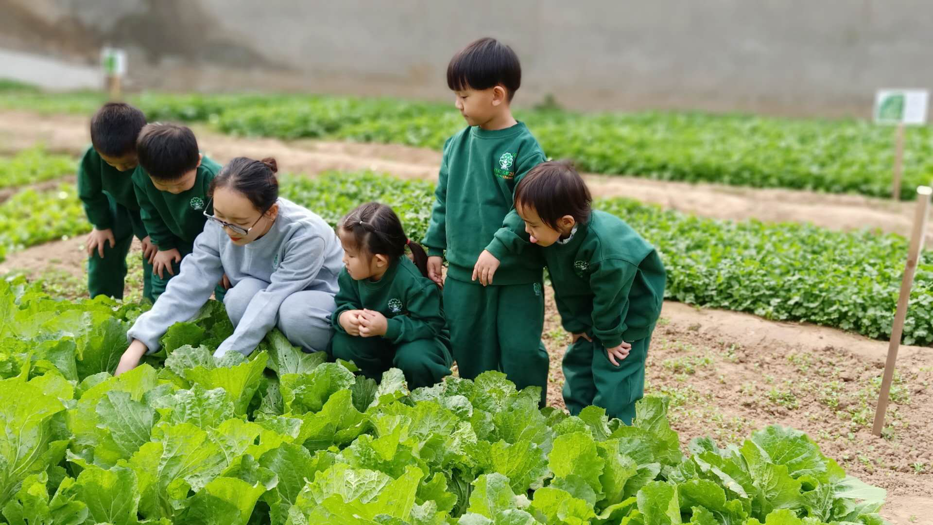 蒙氏幼兒園這樣培養(yǎng)孩子的分析力