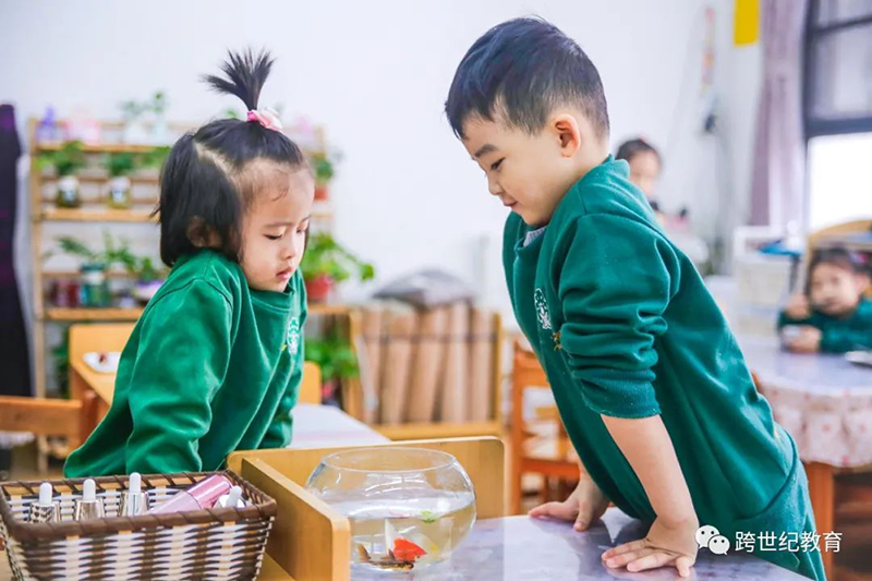 天吶，這所蒙氏幼兒園的孩子創(chuàng)造力太棒了！