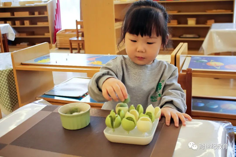 蒙特梭利教育：深度解讀孩子的“秩序敏感期”