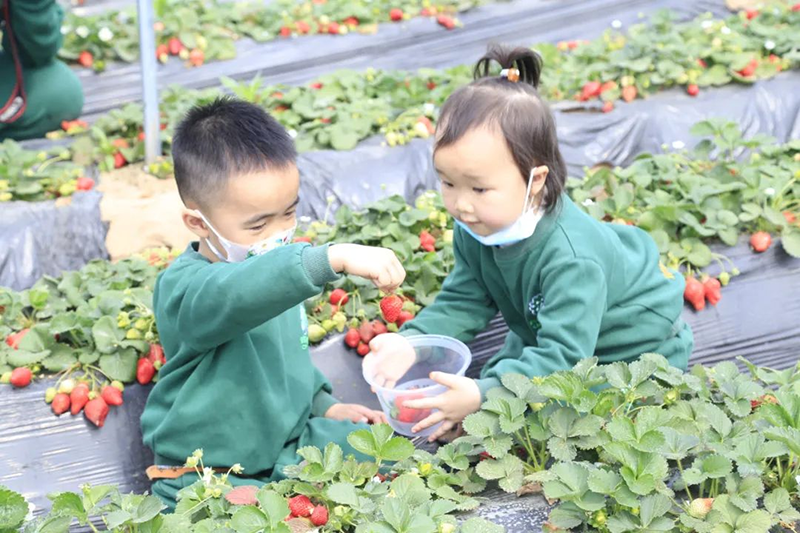 跨世紀(jì)教育：這所幼兒園家長(zhǎng)看一次，就為孩子定了“三年”？這么厲害的嗎？