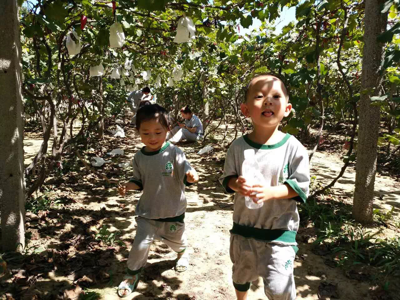 關(guān)于蒙特梭利幼兒園，你所不知道的事情