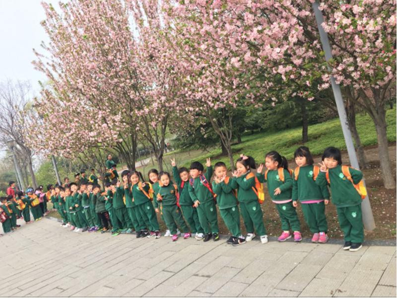 河南省魯山跨世紀幼兒園：“尋找春天的足跡”338.png